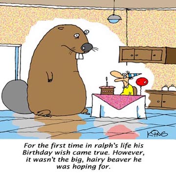 big-hairy-beaver.jpg